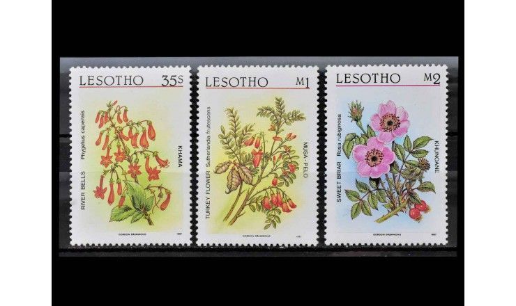 Лесото 1987 г. "Цветы"