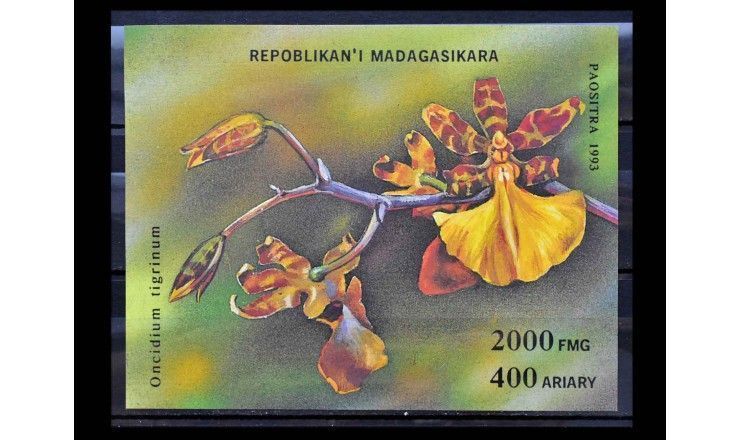 Мадагаскар 1993 г. "Орхидеи"