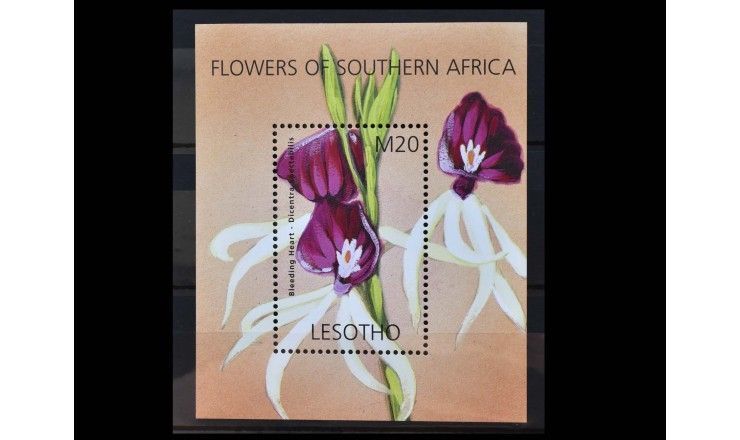 Лесото 2002 г. "Цветы Южной Африки"