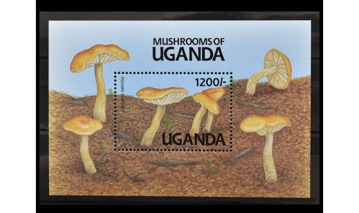 Уганда 1991 г. "Грибы"