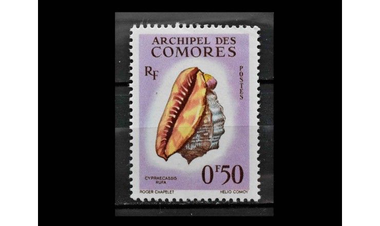 Коморские острова 1962 г. "Морские улитки"