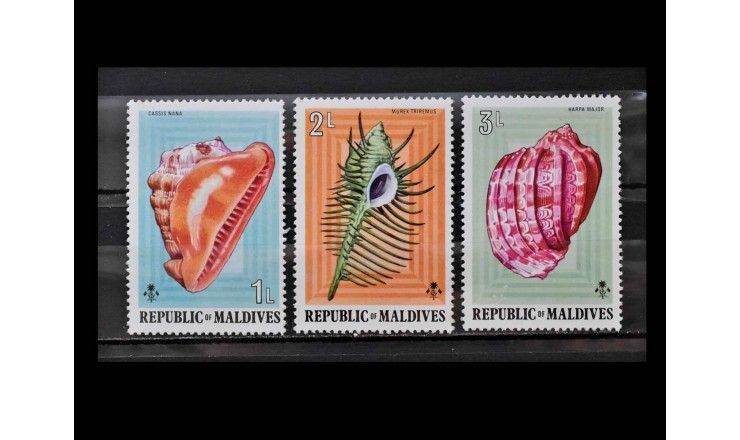 Мальдивы 1975 г. "Мидии и улитки"