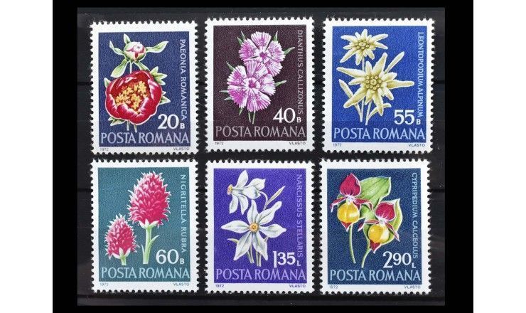 Румыния 1972 г. "Охраняемые цветы"
