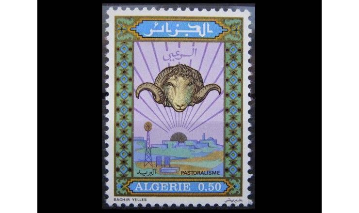 Алжир 1976 г. "Сельское хозяйство, овцы"