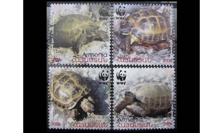 Армения 2007 г. "Среднеазиатская черепаха"