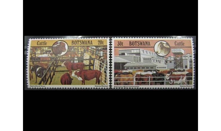 Ботсвана 1981 г. "Скотоводство"