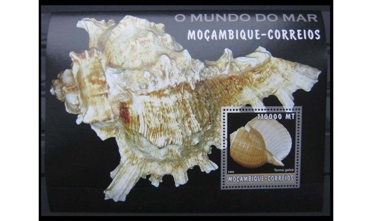 Мозамбик 2002 г. "Морской мир: ракушки"