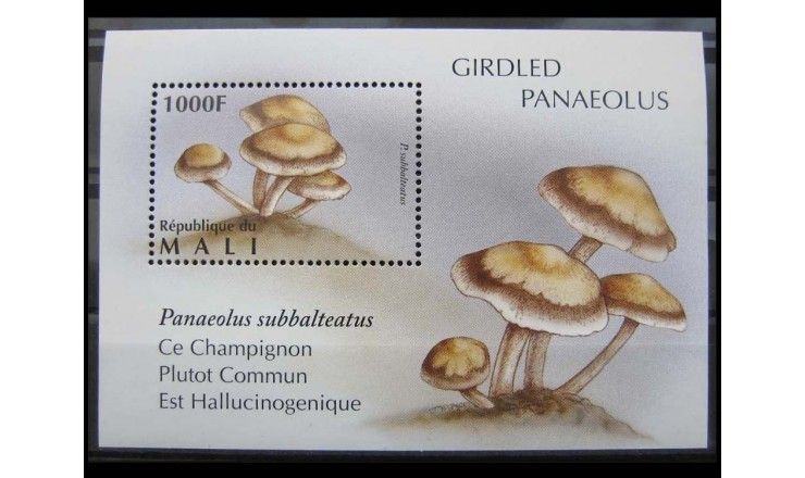Мали 1996 г. "Грибы"