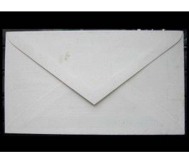 ФРГ 1996 г. "Породы собак" FDC 