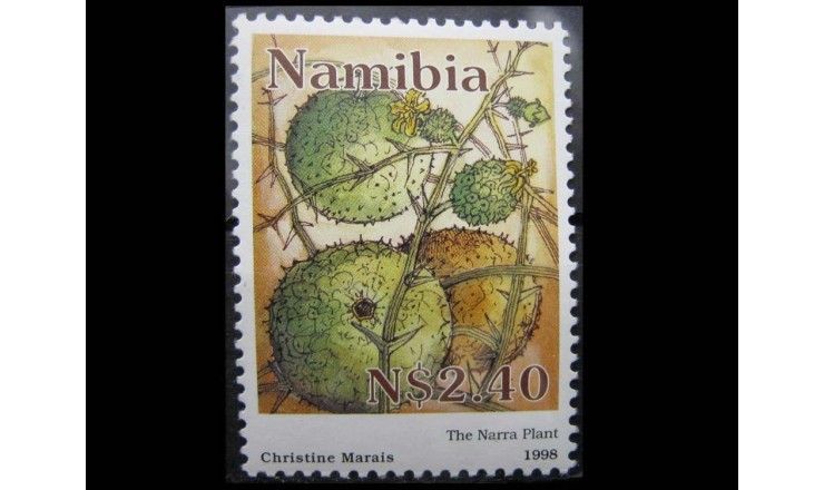Намибия 1998 г. "Растение"