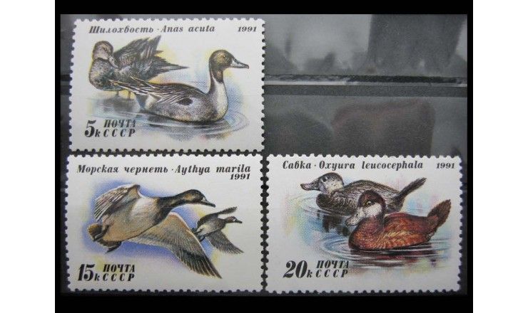 СССР 1991 г. "Утки"